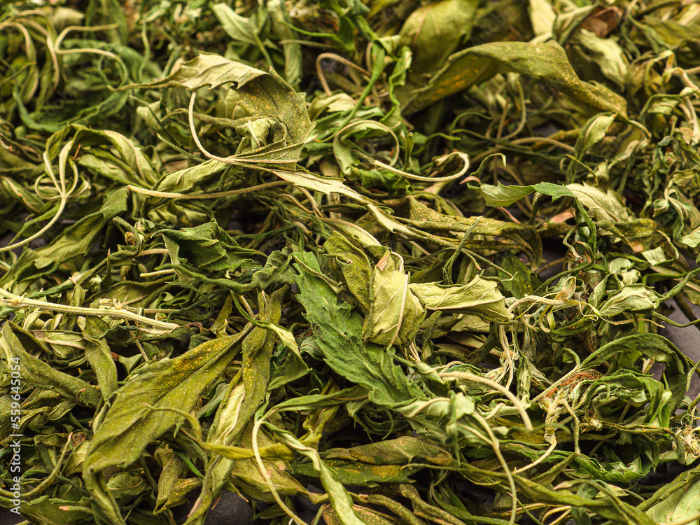 Top view of dry cannabis leaf tea. Textured marijuana leaves Top view of dry cannabis leaf tea. Textured marijuana leaves