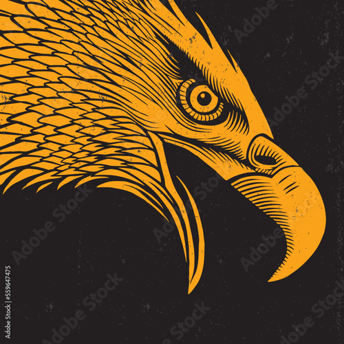 eagle head vector 
