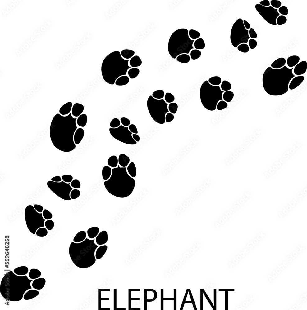 Fototapeta premium Elephant Paw print illustration on white background 