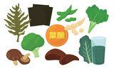 Vector illustration of foods containing folic acid. The central character is a kanji meaning folic acid.