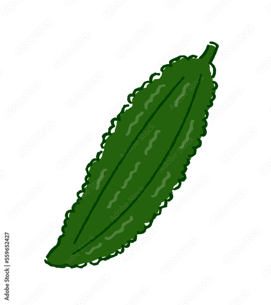 ゴーヤ ゴーヤ