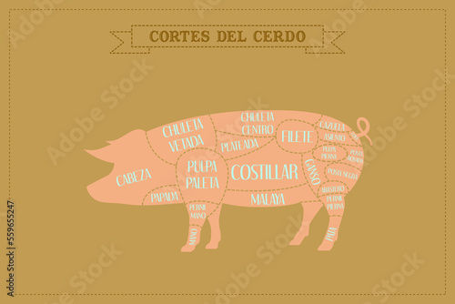 Guía de corte de carne de cerdo, vector.