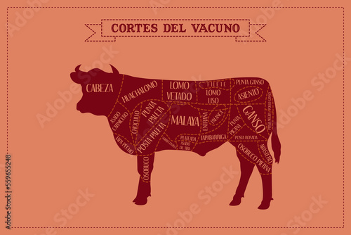 Guía de corte de carne de Vacuno, vector. photo