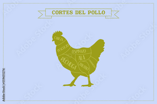 Guía de corte de carne de pollo, vector.