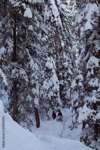 hikers in the snow
