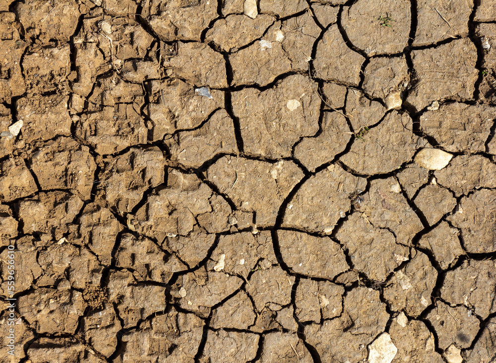 a fragment of the soil surface cracked from dehydration, cracks and a dry surface. a fragment of the soil surface cracked from dehydration, cracks and a dry surface.