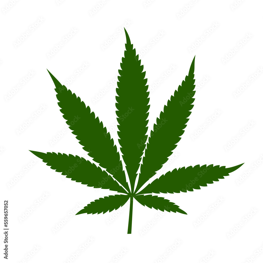 cannabis leaf cannabis leaf