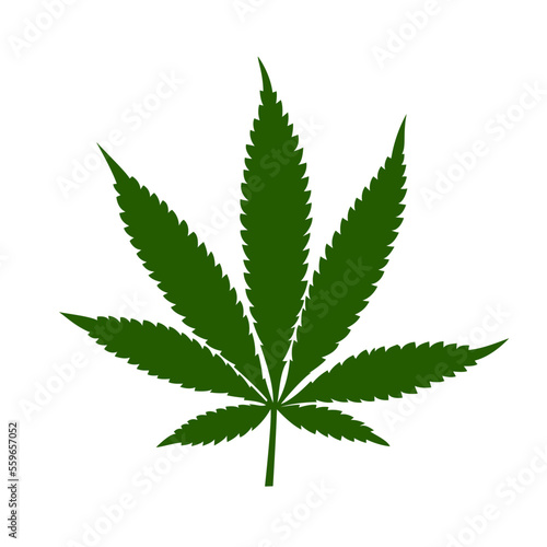 cannabis leaf 