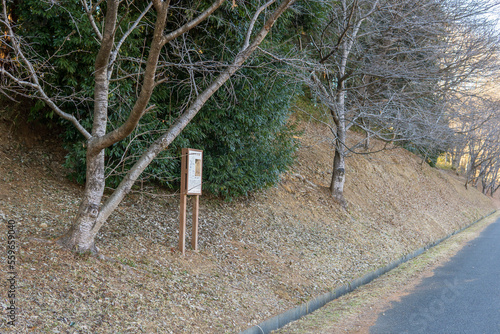 Quadro su tela 石田１号窯跡の斜面と説明板【南比企窯跡群/国指定史跡】日本埼玉県比企郡鳩山町
