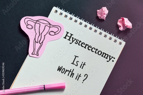 Hysterectomy: Is it worth it question on notepad with the hand drawn paper cut female reproductive organ.