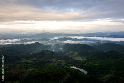 Aerial view of mist  cloud and fog hanging over a lush tropical rainforest after a storm