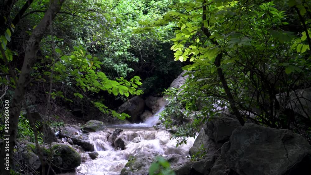 Clear stream running through stone boulders Abundant river flowing on stone bottom in slow motion. Wild mountain river water splashing in summer days between the woods Clear stream running through stone boulders Abundant river flowing on stone bottom in slow motion. Wild mountain river water splashing in summer days between the woods