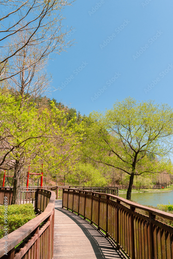 Green forest and wooden deck trail. Gijang Yongso Well-Being Park in Busan, Korea