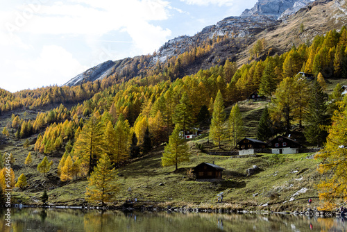lake landscape in Switzerland, trees on a hill swiss alps © Ruth Bernad