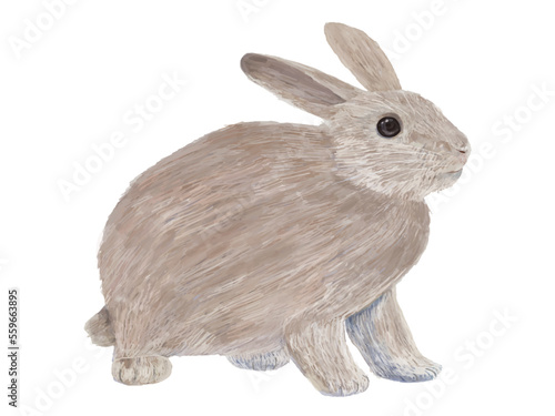 茶色うさぎ右向き_横