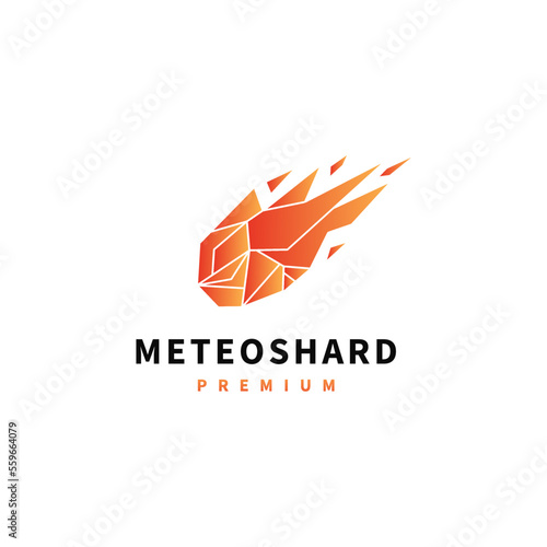 meteor shard logo design illustration with geometric style 2