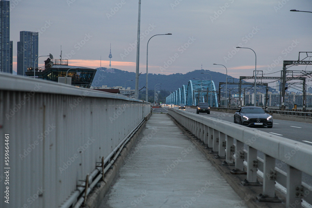 bridge over the river in the city
