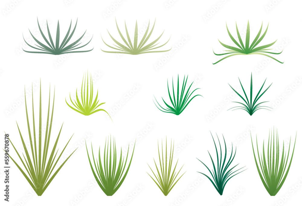 set of grass vectors