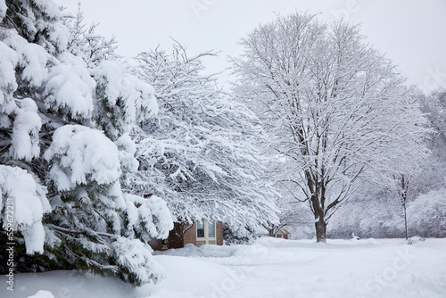 Snow storm that covered the entire neighborhood with beautiful white and fluffy snow