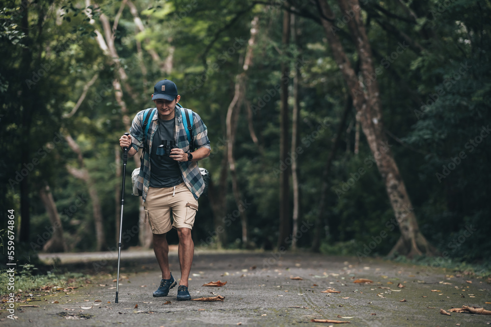 Hikers use trekking pole with backpacks walking through on the road in the forest. hiking and adventure concept.
