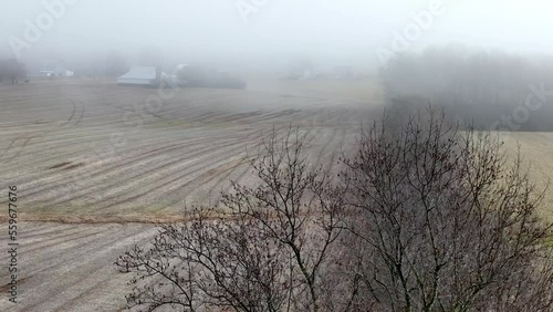 solitude over winter farm field in yadkin county nc, north carolina photo