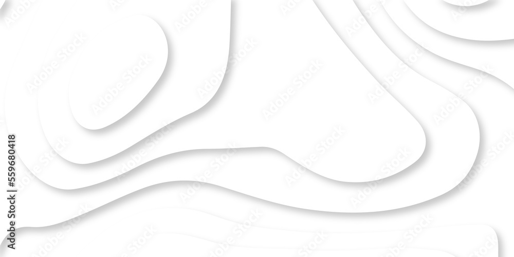 Abstract Luxury paper cut background, Abstract decoration, white pattern lines gradients, 3d Vector illustration, topographic canyon map light relief texture, curved layers.