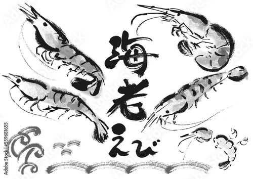 海老和風筆描きイラストセット　白黒,モノクロ,単色,
