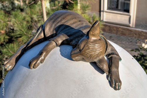 Sleeping cat. Sculpture in Odessa, Ukraine photo