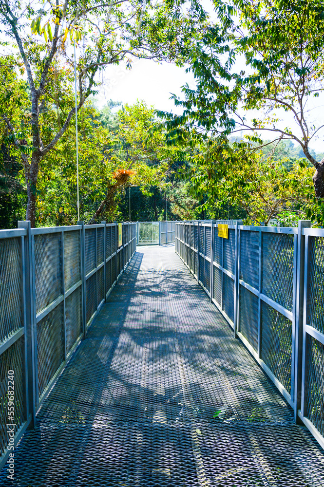 Treetop walkway of a botanical garden