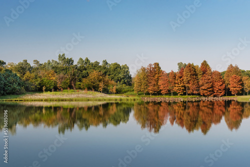 Photography Panorama of idyllic landscape in Hong Kong Wetland Park