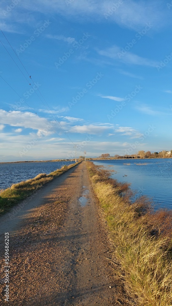 road to the beach