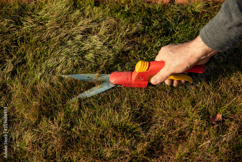 Man mowing the lawn on the garden