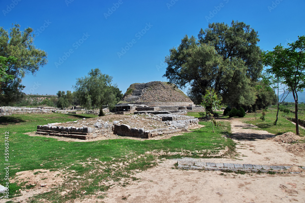 Fototapeta premium Taxila, Dharmarajika stupa and monastery, Pakistan