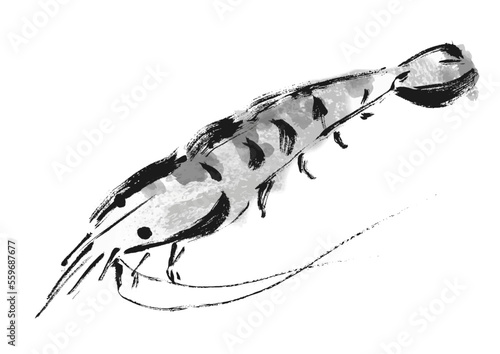 海老和風筆描きイラスト　白黒,モノクロ,単色,