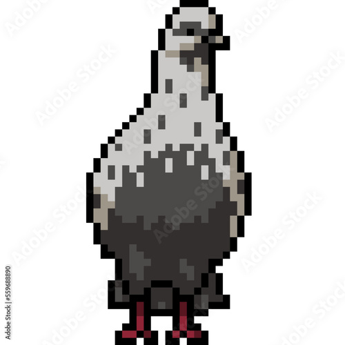 pixel art white pigeon stand