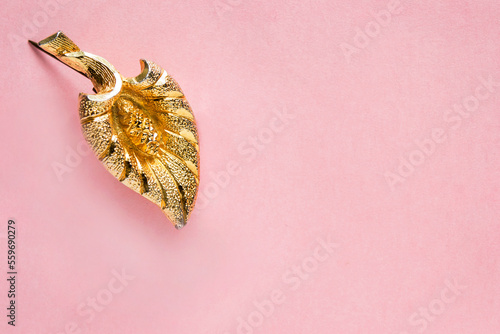 Fototapete Gold brooch on pink