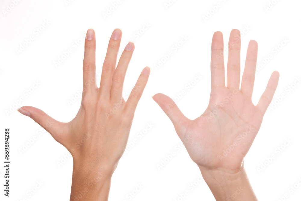 female hands shown on both sides, palm and outer side of the hand female hands shown on both sides, palm and outer side of the hand
