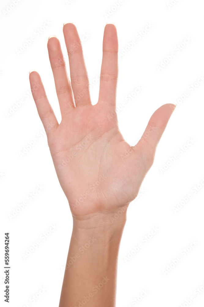 the hand of a female hand shown from the side of the palm the hand of a female hand shown from the side of the palm