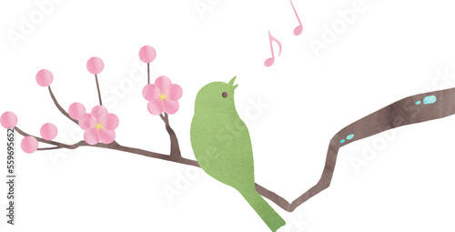 梅と鶯のイラスト