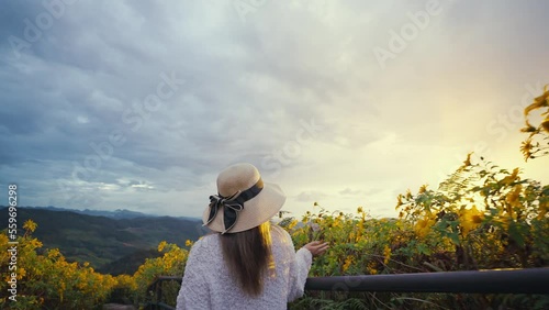 Wallpaper Mural Back view of woman touches the yellow flowers walks through in field and sunset  Torontodigital.ca