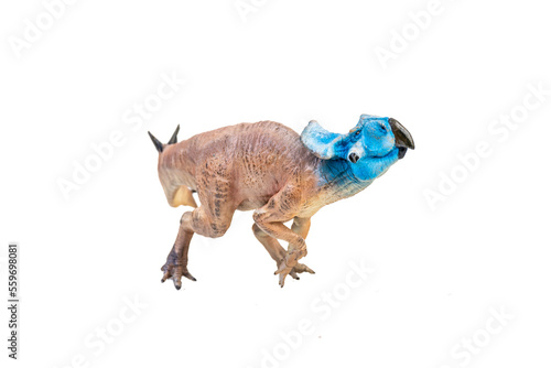 Protoceratops  , dinosaur on  isolated background © meen_na