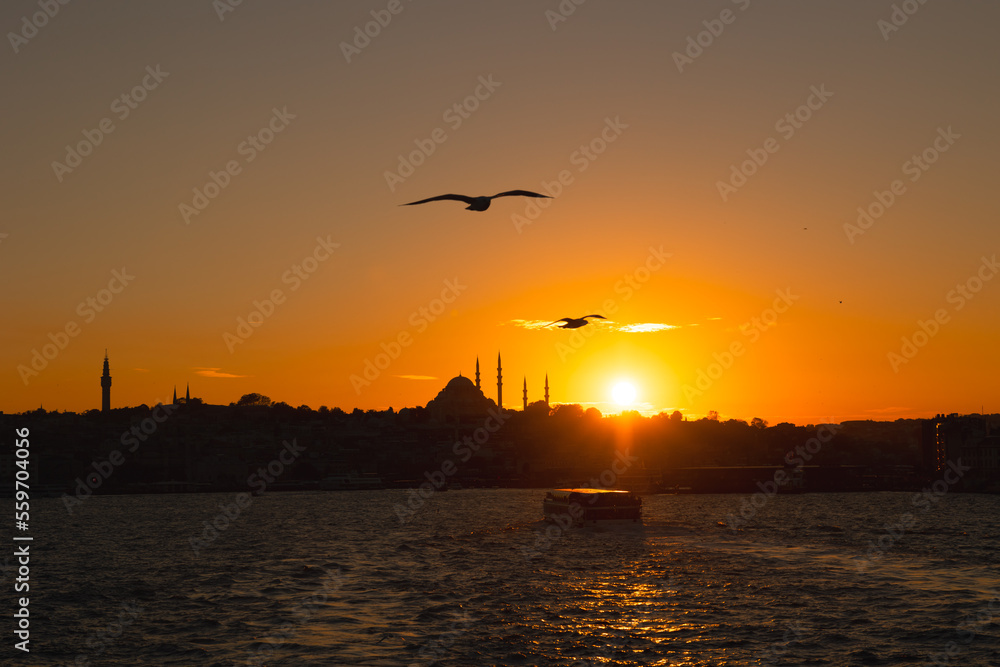 Istanbul silhouette. Seagulls and silhouette of Suleymaniye Mosque