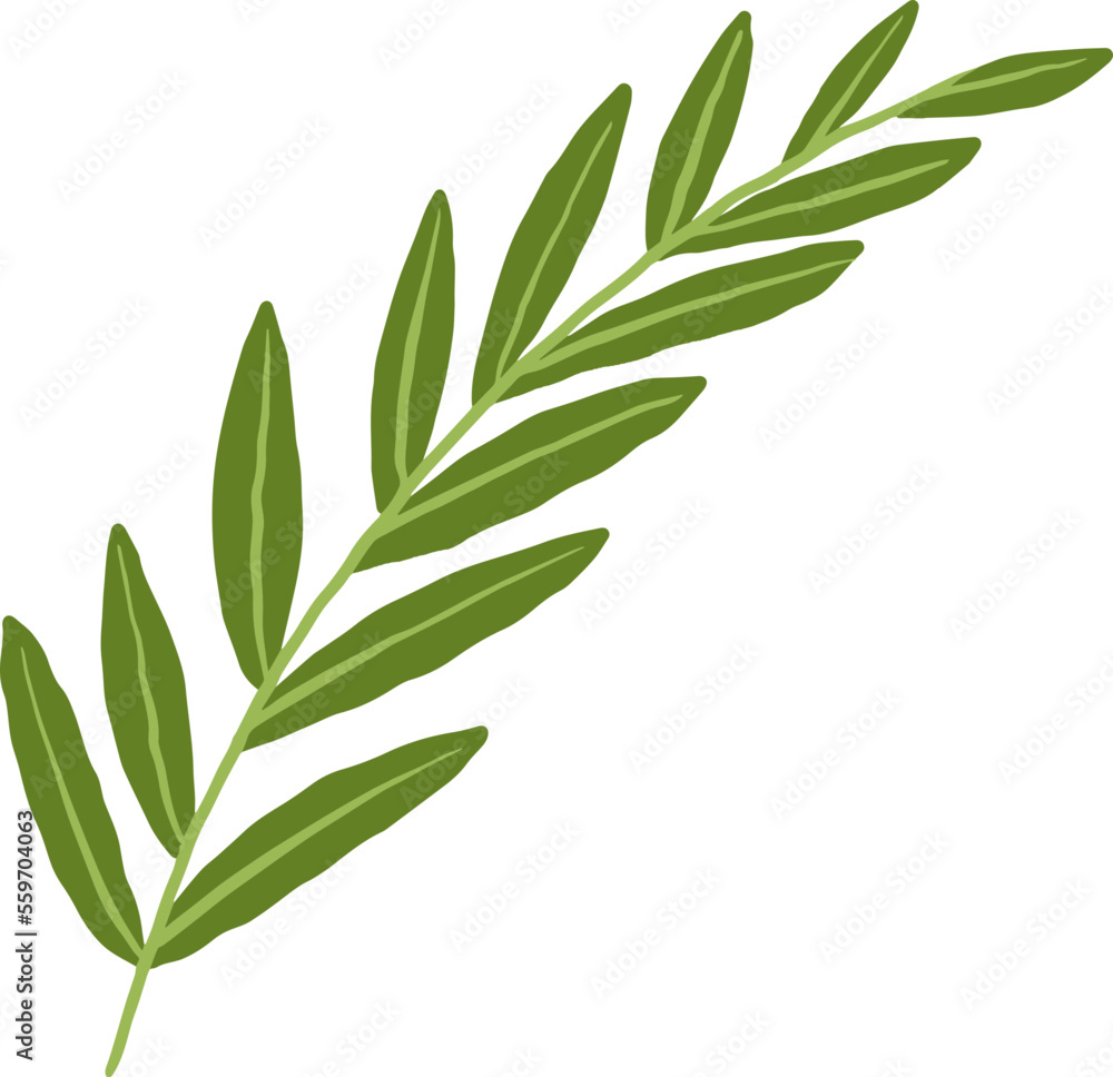 Green Leaf Illustration