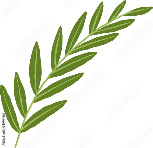 Green Leaf Illustration