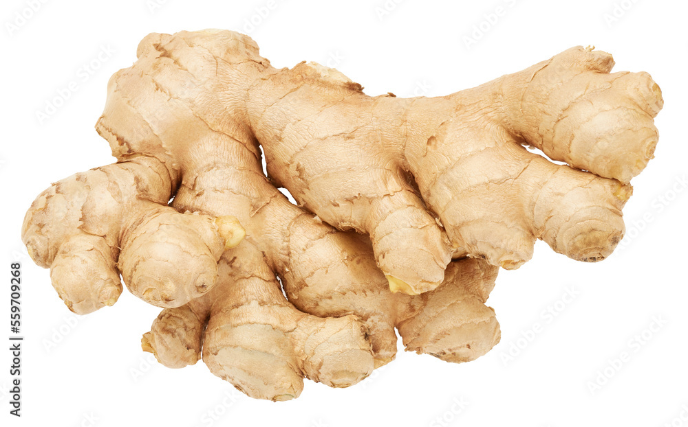 Ginger root isolated on white background. Food spice ingredient