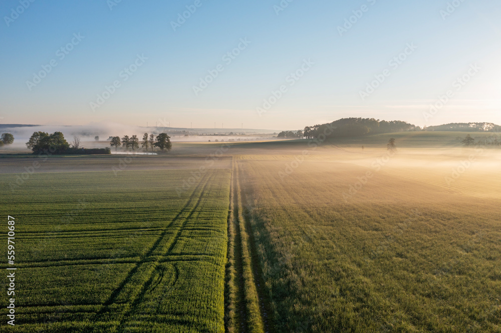Germany, Bavaria,Aerial view of tire tracks stretching across countryside field at foggy dawn Germany, Bavaria,Aerial view of tire tracks stretching across countryside field at foggy dawn