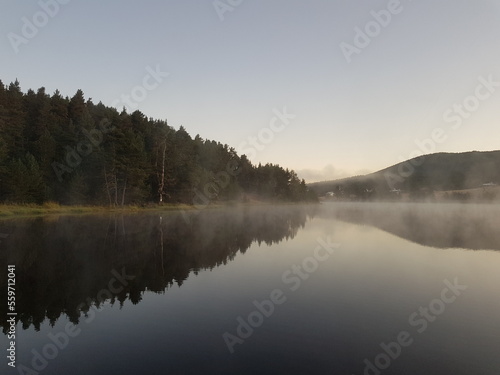 lake  fog  reflection tree