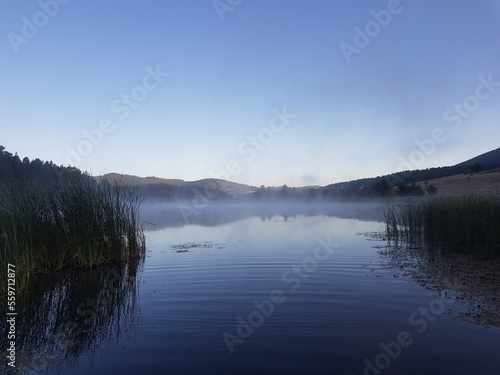 lake, fog