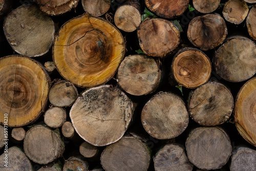 Stocks of firewood for the winter from several woodpiles of different levels. There are birch and alder logs. Background. Texture