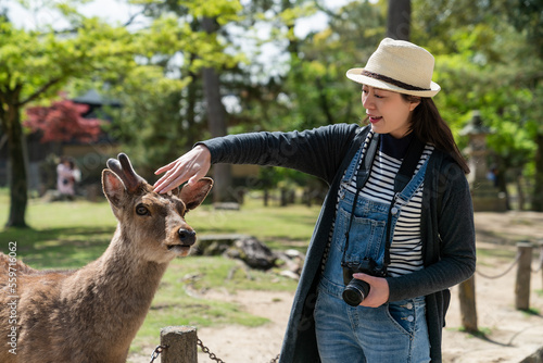 portrait of happy Asian Japanese female visitor gently touching head of sacred cute deer in a park at Todaiji temple in nara japan on a sunny day.